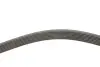 Ремень генератора Toyota Camry/Avensis/RAV4 2.0/2.4 00-/Land Cruiser Prado 3.0D 00- INA FB 7PK1933 (фото 3)
