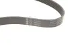 Ремень генератора Toyota Camry/Avensis/RAV4 2.0/2.4 00-/Land Cruiser Prado 3.0D 00- INA FB 7PK1933 (фото 5)