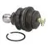 Шаровая опора NISSAN P. NAVARA/PATHFINDER 2,5/3,0DCI 05- DOLNY LE/PR JAPANPARTS BJ136 (фото 2)