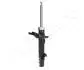 Амортизатор FORD P. KUGA 2,5/2,0TDCI 08- PR JAPANPARTS MM00766 (фото 2)