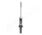 Амортизатор TOYOTA T. COROLLA 1,4-2,0D 02-07 LE/PR HATCHBACK/KOMBI JAPANPARTS MM20034 (фото 1)