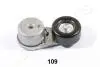 Натяжная планка, поликлиновой ремень JAPANPARTS TS109 (фото 1)