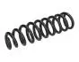 Пружина (передня) VW Touareg 3.0 V6 TDI 04-10 (позашляховик) JAPANPARTS ZC1117A (фото 1)
