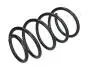 HYUNDAI Пружина подвески передн.Accent,Kia Rio 05- JAPANPARTS ZC3209G (фото 1)