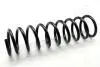 Пружина (задня) BMW 7 (E38) 750i,iL 94-01 (седан)) JAPANPARTS ZC5569A (фото 1)