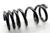 Пружина (задняя) Mitsubishi Pajero III 3.2DI-D/3.5/3.5 V6 GDI 00-07 (вездеход) (5 дверей)) JAPANPARTS ZC5694A (фото 1)