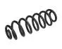 Пружина (задня) Skoda Octavia 1.2-1.8TSI/1.6-2.0TDI 04-13 (хетчб)/VW Jetta 1.2-2.0TSI 10- (сед)(HD) JAPANPARTS ZC7101A (фото 1)
