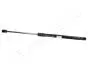 FORD амортизатор багажника Mondeo 93- JAPANPARTS ZS03003 (фото 1)
