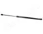 FORD Амортизатор багажника Fusion 02- JAPANPARTS ZS03033 (фото 1)