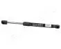 FORD Газовый амортизатор багажника Focus II SEDAN 05- JAPANPARTS ZS03043 (фото 1)