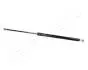 VOLVO Амортизатор газовый багажн.740-960 82- JAPANPARTS ZS03093 (фото 1)