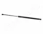 Газовий амортизатор CITROEN C4 COUPE JAPANPARTS ZS06023 (фото 1)
