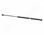 Газовий амортизатор багажника CITROEN XSARA PICASSO (N68) JAPANPARTS ZS06031 (фото 1)