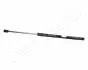 PEUGEOT Амортизатор багажника 406 JAPANPARTS ZS06067 (фото 1)