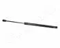 PEUGEOT Амортизатор багажника 406 -04 JAPANPARTS ZS06088 (фото 1)