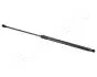 Амортизатор багажника RENAULT SAFRANE II JAPANPARTS ZS07043 (фото 1)