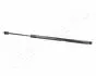 Амортизатор багажника SKODA Rapid -19 JAPANPARTS ZS09156 (фото 1)