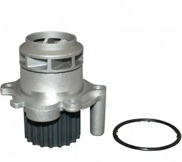 Водяной насос VW Polo/Skoda Fabia 1.9 SDI 99- JP GROUP 1114102000