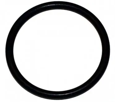 Прокладка термостата Caddy/T4/T5 81- JP GROUP 1114650400 (фото 1)