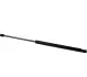 Амортизатор багажника T4 (570/240mm 910N) (двірник)) JP GROUP 1181212000 (фото 1)