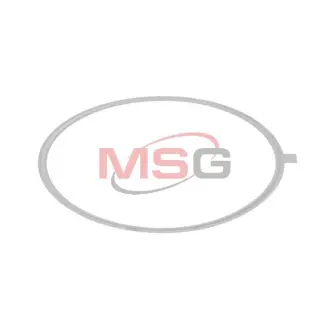 Уплотнительное кольцо GARRETT GT1646V AUDI A3 (8P1) 05-08, A3 Sportback (8PA) 05-08 JRONE 2080-010-003