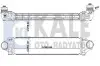 Радіатор інтеркулера Ford Focus/Mondeo 06- Kale 344930 (фото 1)