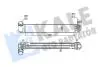 RENAULT Інтеркулер Grand Scenic III, Megane III 1.9dCi/2.0TCe Kale 352265 (фото 1)