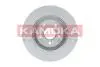 Тормозной диск KAMOKA 1031098 (фото 2)