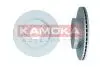 Тормозной диск KAMOKA 1032536 (фото 1)