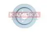 Диск тормозной (задний) Mini (F55/F56/F57) 13- (259x10) B36/B37/B38/B46/B47/B48 KAMOKA 103402 (фото 1)