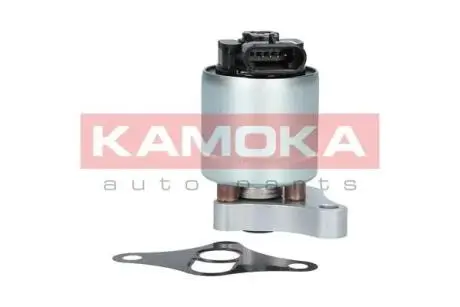 Клапан рециркуляції випускних газів KAMOKA 19002