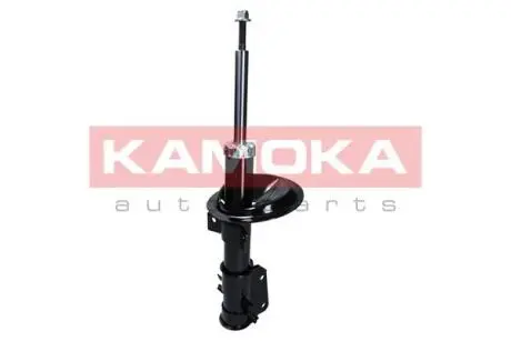 Автозапчасть KAMOKA 2000301
