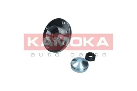 Набор колесных подшипников ступицы. KAMOKA 5500029