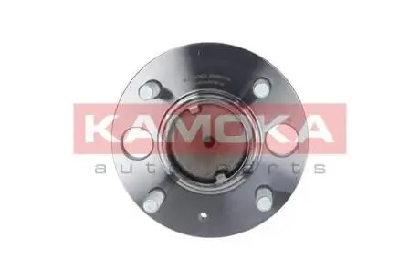Набор колесных подшипников ступицы. KAMOKA 5500075