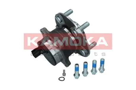Набор колесных подшипников ступицы. KAMOKA 5500087