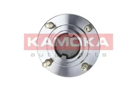 Набор колесных подшипников ступицы. KAMOKA 5500090