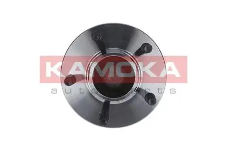 Набор колесных подшипников ступицы. KAMOKA 5500098