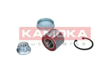 Подшипник ступицы колеса KAMOKA 5600011
