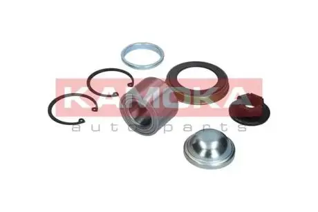 Подшипник ступицы колеса. KAMOKA 5600012