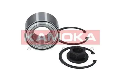 Комплект підшипника колеса KAMOKA 5600016