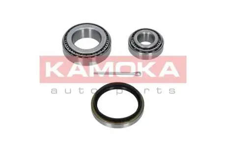 Подшипник ступицы колеса KAMOKA 5600021