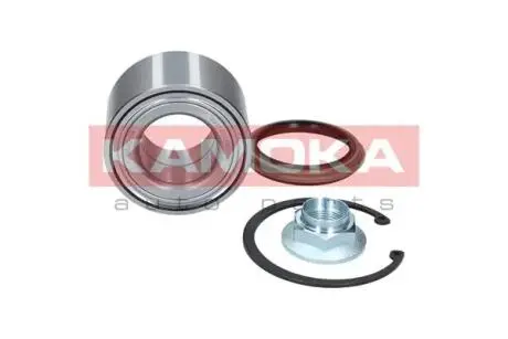 Комплект подшипника колеса. KAMOKA 5600034