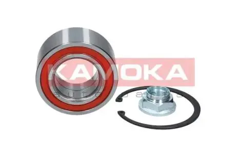 Комплект подшипника колеса. KAMOKA 5600041