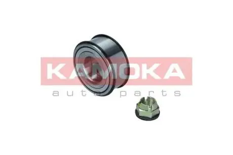 Підшипник колеса KAMOKA 5600042 (фото 1)