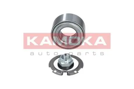 Набор подшипников ступицы колеса. KAMOKA 5600055
