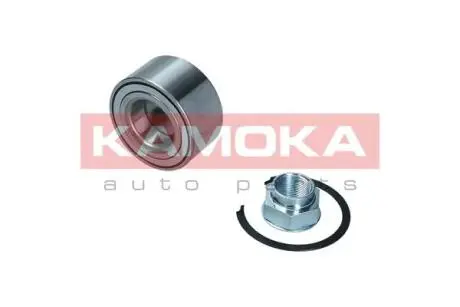 Комплект подшипника колеса. KAMOKA 5600137