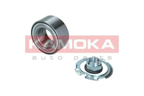 Комплект подшипника колеса. KAMOKA 5600212