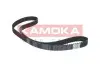 Ремінь ГРМ Citroen Jumpy 2.0HDi/Nemo 1.4HDI (144x25) KAMOKA 7000027 (фото 1)