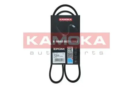 Автозапчасть KAMOKA 7013020