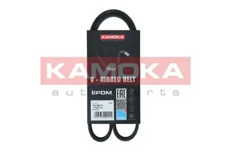 Автозапчасть KAMOKA 7015017